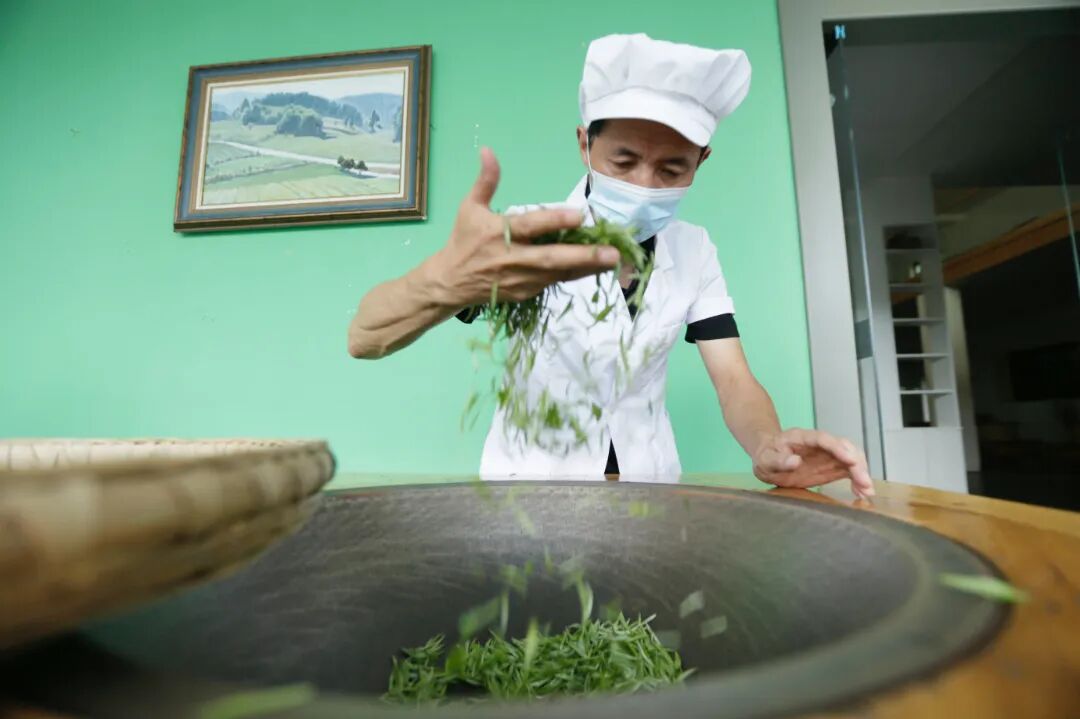 湄潭茶9.jpg